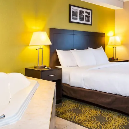 Comfort Hotel & Suites-3