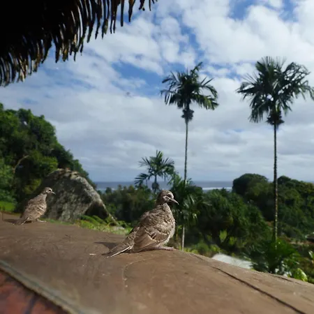 Vanira Lodge-2