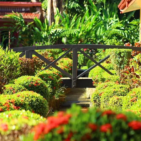 La Foresta Nature Resort-3