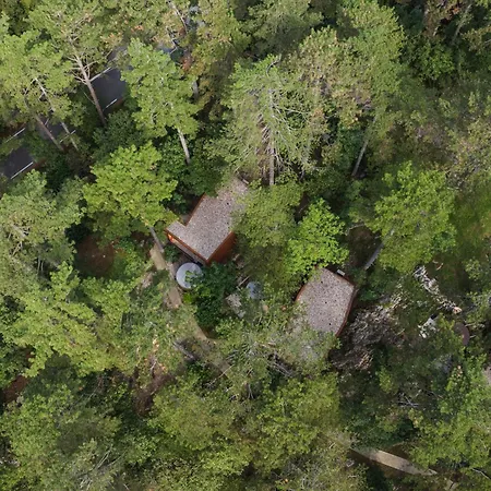 Theodosius Forest Village - Glamping in Vipava valley-2