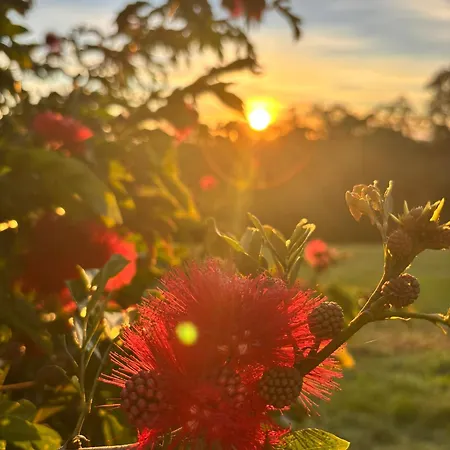 Noosa Hinterland Escape-2