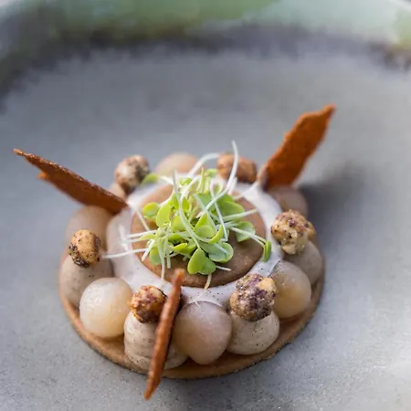 La Gree Des Landes - Eco-Hotel-Spa Yves Rocher-3