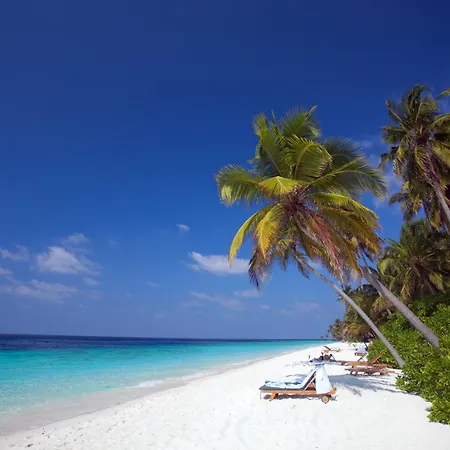Filitheyo Island Resort-3
