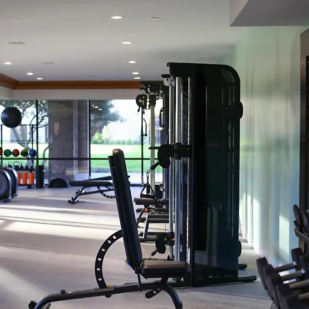 Hilton Anatole-2