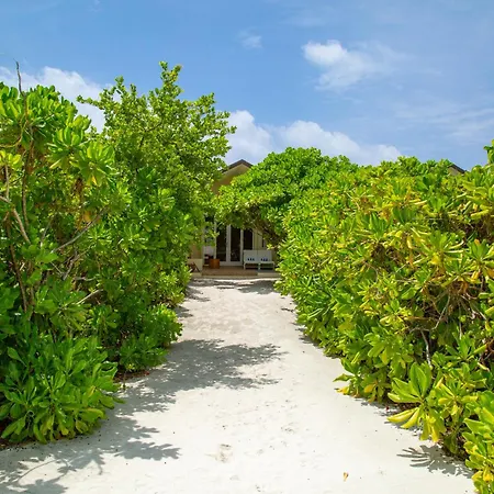 Hondaafushi Island Resort-3