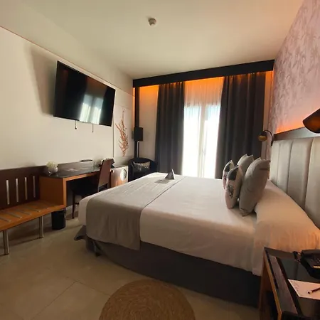 On Aleta Room Designed For Adults-3