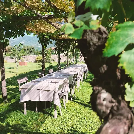 Badia Giulia Prestigious Historical B&B, Camaiore - Adults Only - No Pets-2