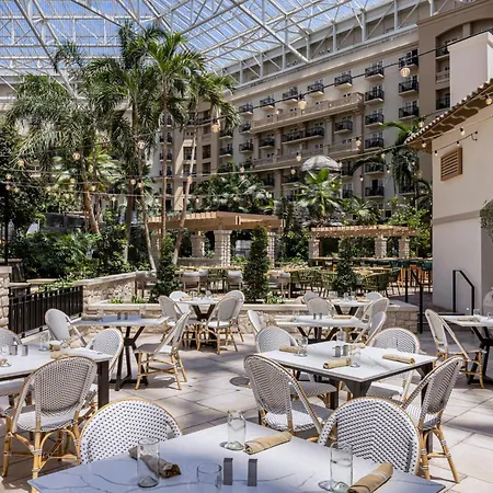 Gaylord Palms Resort & Convention Center-2