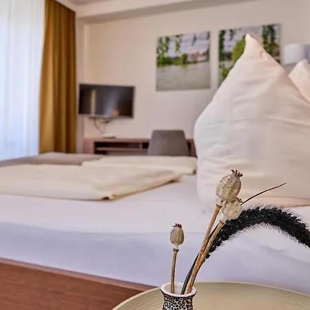 Stadthotel Schärding-2