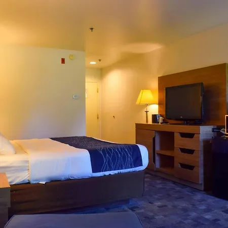 Comfort Inn Bellingham-3