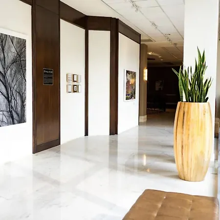 The Whitehall Houston-2