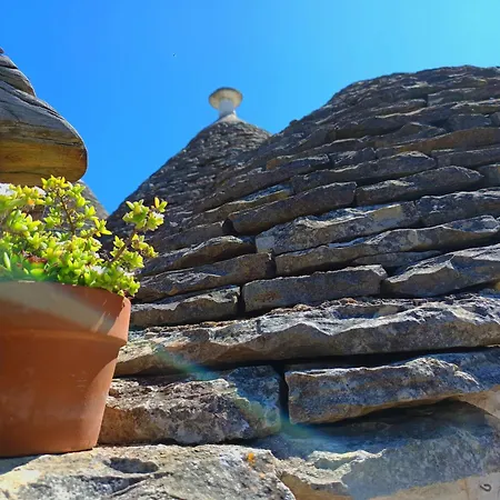 B&B La Rosa dei Trulli Alberobello-3