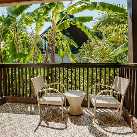 Hula Hula Resort L Truly Tropical And Fun Wellness-3