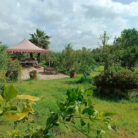 Orange Ville-3