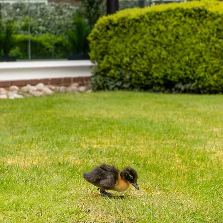 Daresbury Park Hotel-3