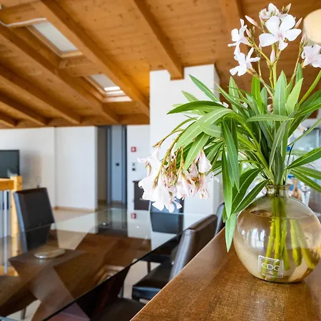 Residence Mediterraneo - Ombrellone incluso dal 23 maggio al 20 settembre-2