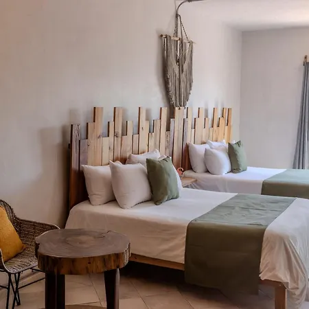 Mayan Monkey Isla Mujeres - Social Hotel (Adults Only)-3