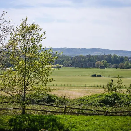 Cowdray Lodge B&B Rooms-2