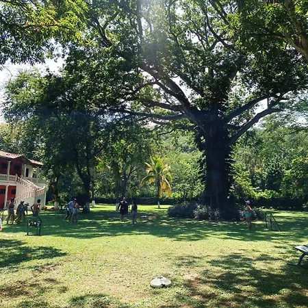 HOSTERIA y Camping PIEDRAS VERDES-2