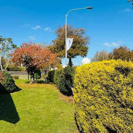 Awatea Park Motel-3