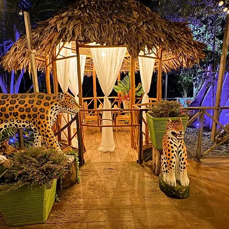 Hotel Amazon By On Vacation-2