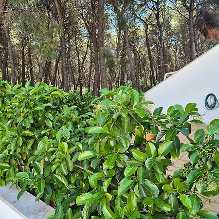 Pitagora Residence-3