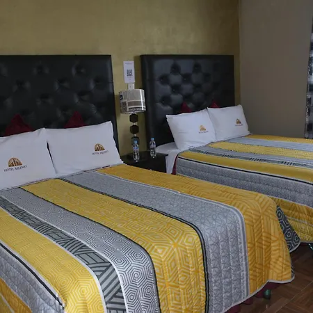 Hotel Milenio Nanacamilpa Tlaxcala-3