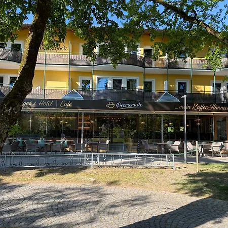 Hotel Promenade-2