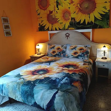 B&B Candalla-2