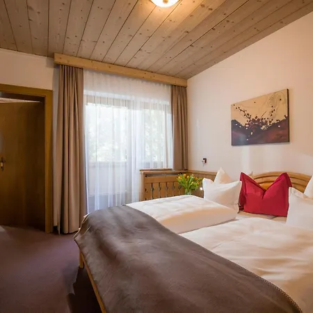 Hotel Almhof-3