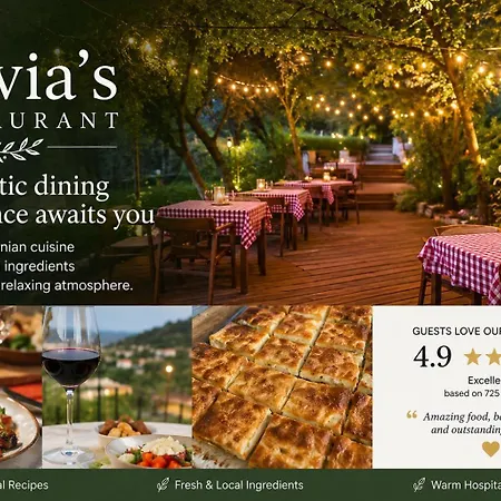 Padel Olivia'S Hill Resort-3