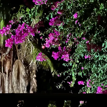 Casa Hermosa Mijas-2