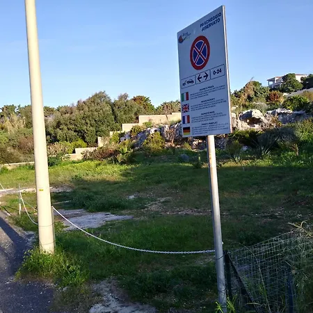 La Rosa Sul Mare-2