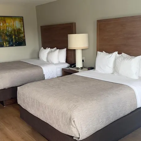 Quality Inn & Suites By The Parks-3