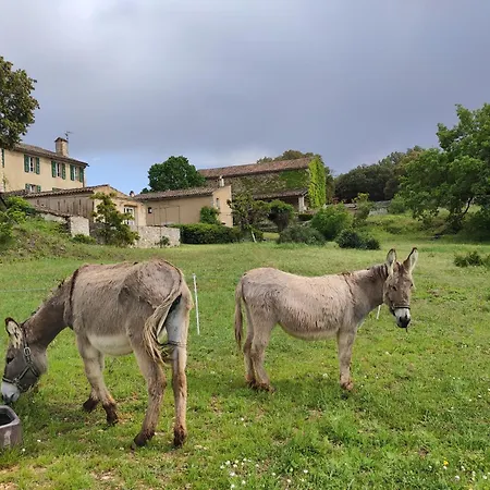 Domaine De La Blaque - B&B-2