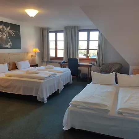 Hotel Restaurant Adler-3