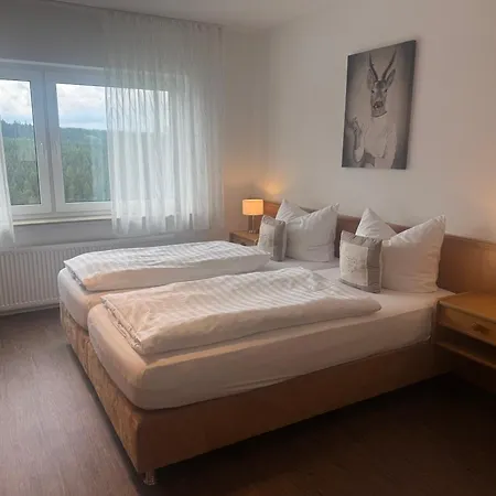 Pension Haus Astenblick-2