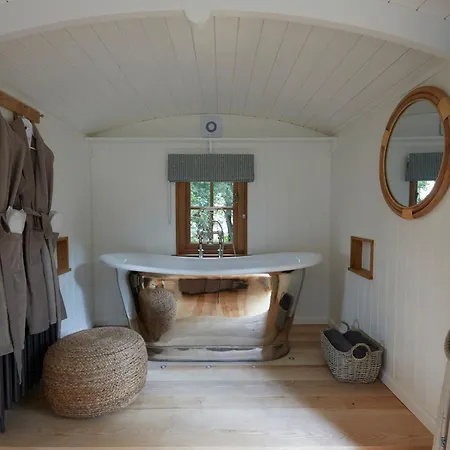 The Fish Hotel-2