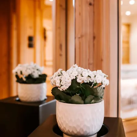 Das Verwall Finest Apartments-2