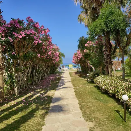 Club Titan Hotel Ultra All Inclusive-3