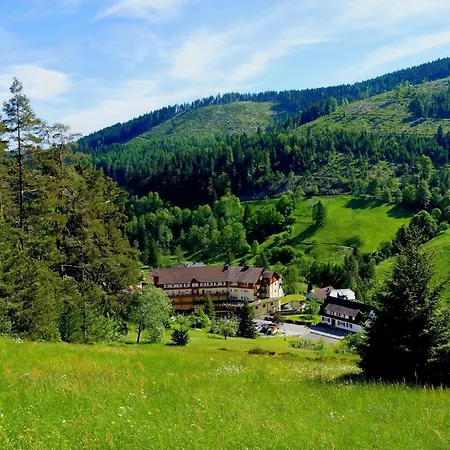 Wellnesshotel Tanne-3