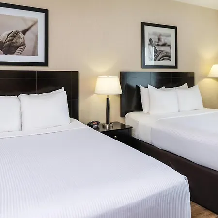 Radisson Hotel Edmonton Airport-2