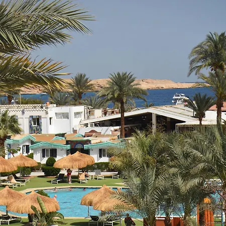 Ghazala Beach-2