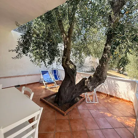 Vignanotica Beach Apartments-3