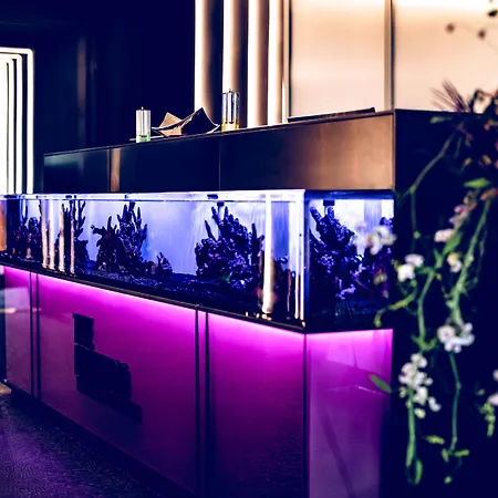 The Flamingo-3