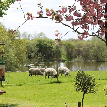 Colston Hall Farmhouse B&B-2