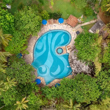 Siddhalepa Ayurveda Resort - All Meals, Ayurveda Treatment And Yoga-3