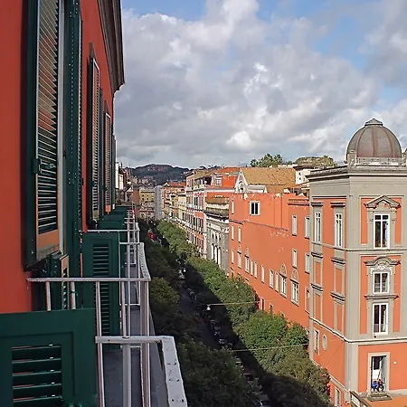 Bellini View-3
