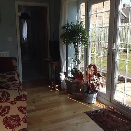 The Summer Room-3