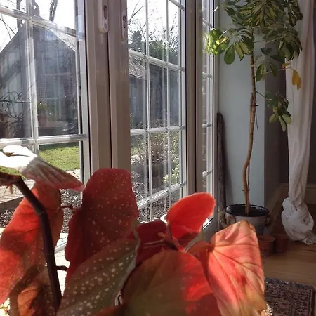 The Summer Room-2